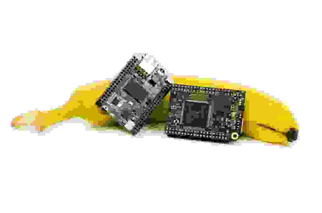 NTC-CHIP-2-chip-Banana-credit-Richard-Reininger.jpg